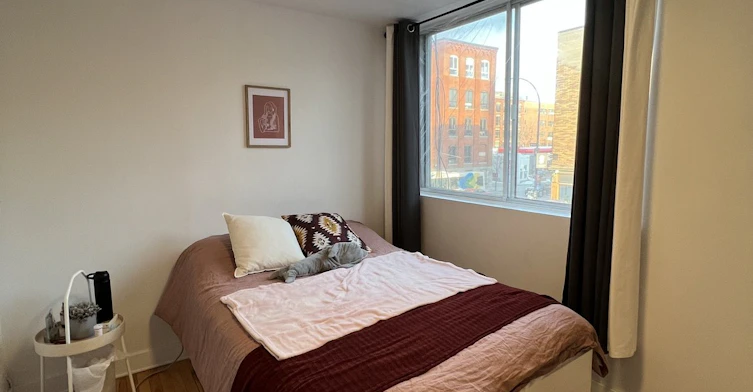 #1-5552 St. Laurent Boulevard, Montréal, QC, H2T 1S8 - 14