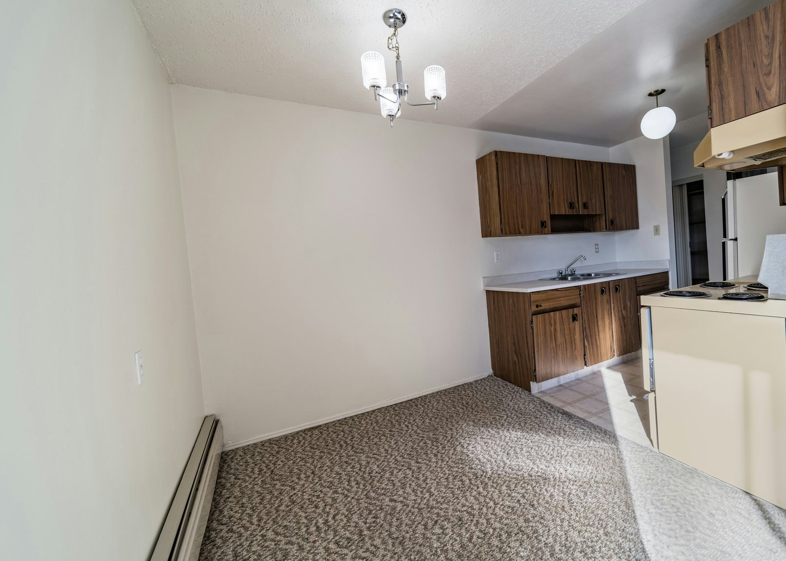 1101 14 Street, Wainwright, AB, T9W 1E8 - 3
