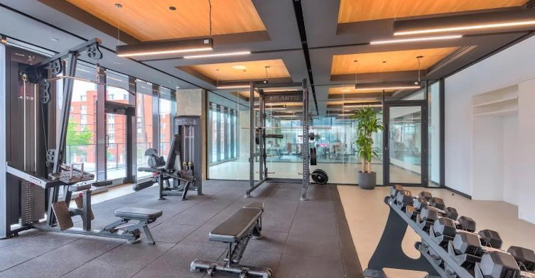 235 Young Rue, Montréal, QC, H3C 0Z6 - 22