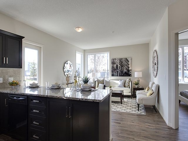 100 Chinook Winds Place, Airdrie, AB, T4B 4B4 - 6