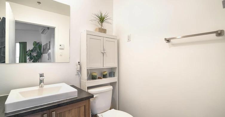9801 Ceres Rue, Dollard-Des-Ormeaux, QC, H9B 0A8 - 11