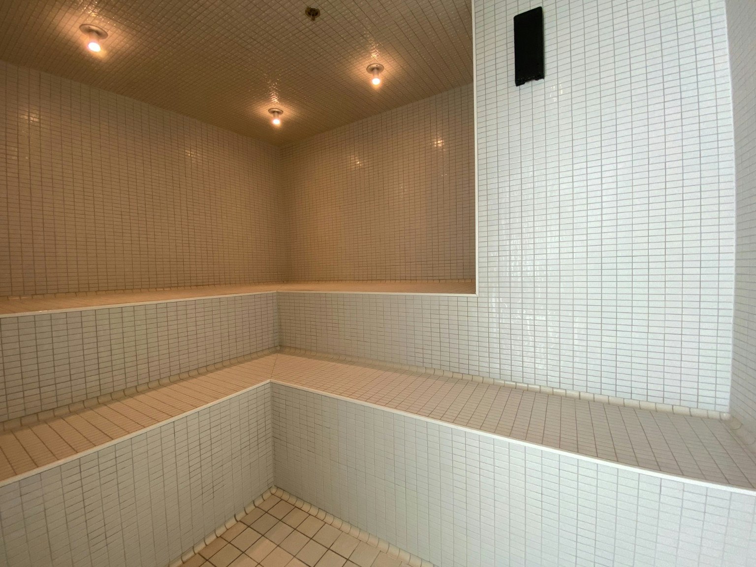 3909-1289 Hornby Street, Vancouver, BC, V6Z 0G7 - 25