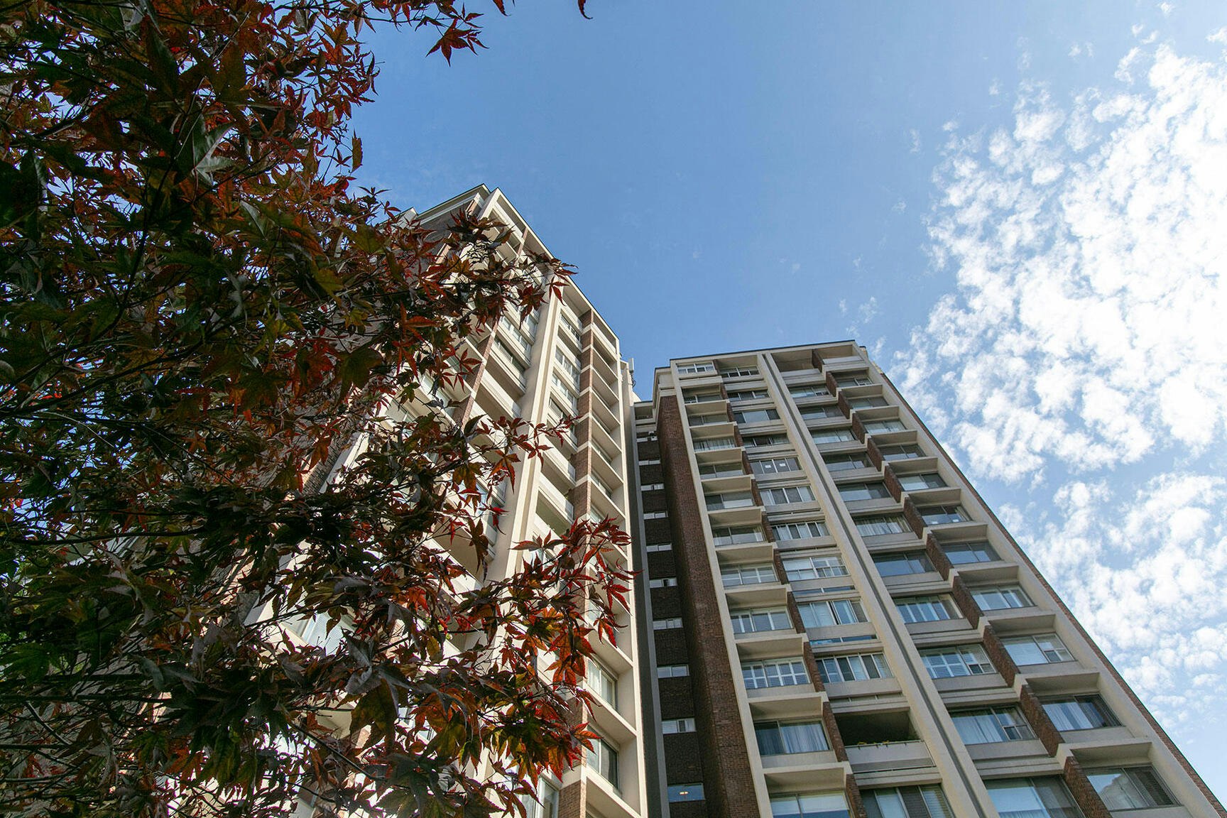 9 Deer Park Crescent, Toronto, ON, M4V 2C4 - 3