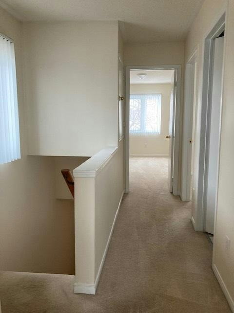 3-3 FG-3 Pleasantview Avenue, Brampton, ON, L6X 1W3 - 5