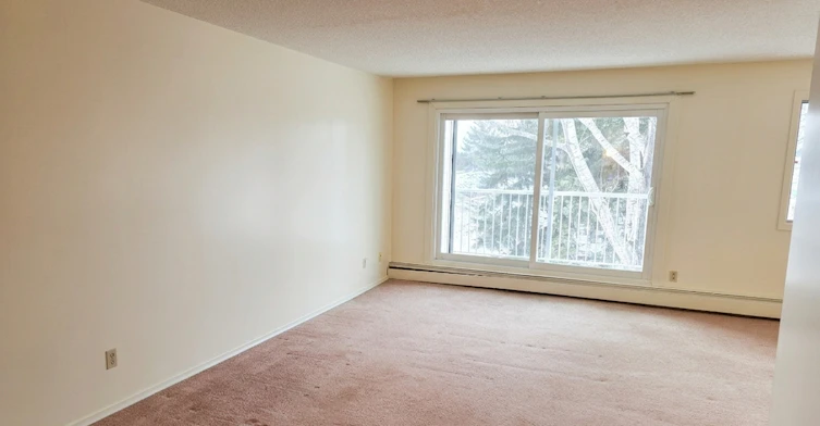 18238 91 Avenue Northwest, Edmonton, AB, T5T 1T6 - 8
