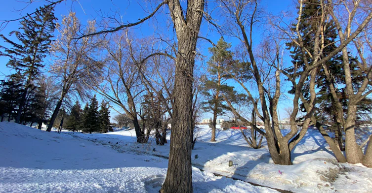 3944 Castle Road, Regina, SK, S4S 6A4 - 23
