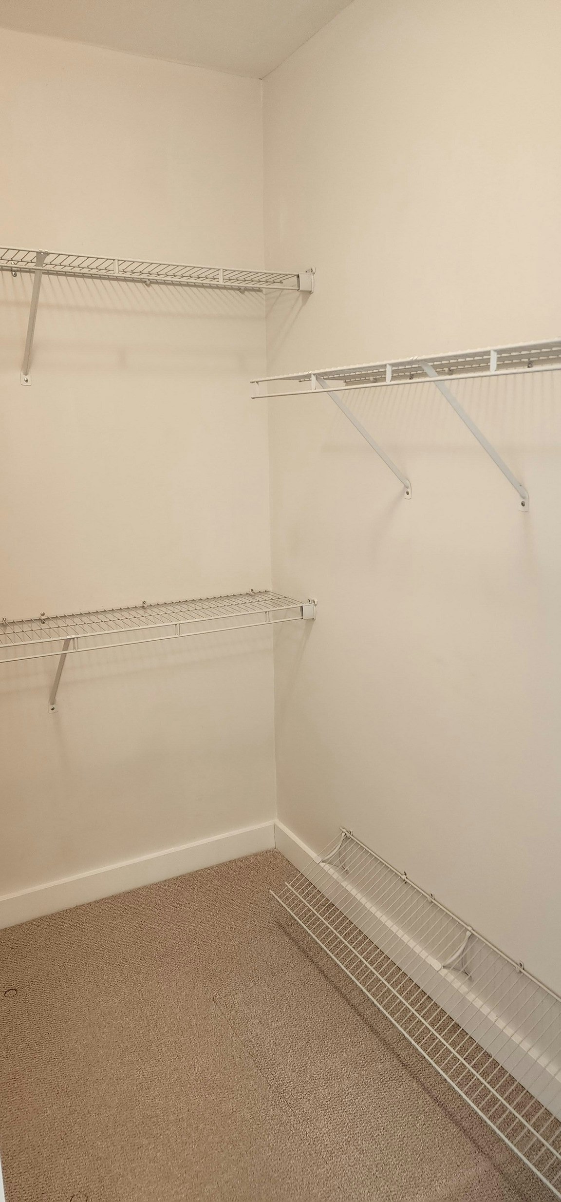 2955 Atlantic Avenue, Coquitlam, BC, V3B 0H9 - 9