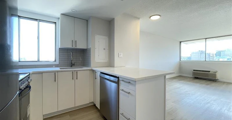 1BR-2000 Saint Marc Street, Montréal, QC, H3H 2N9 - 16