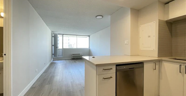 2 BR-2000 Saint Marc Street, Montréal, QC, H3H 2N9 - 9