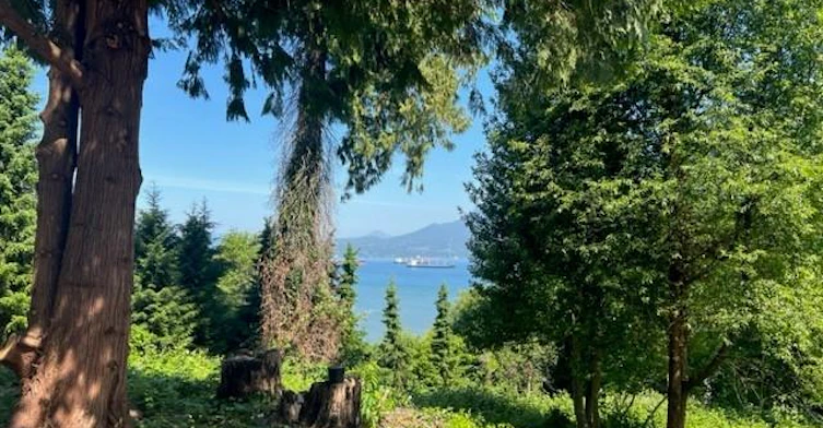 4769 Belmont, Vancouver, BC, V6T 1A8 - 17