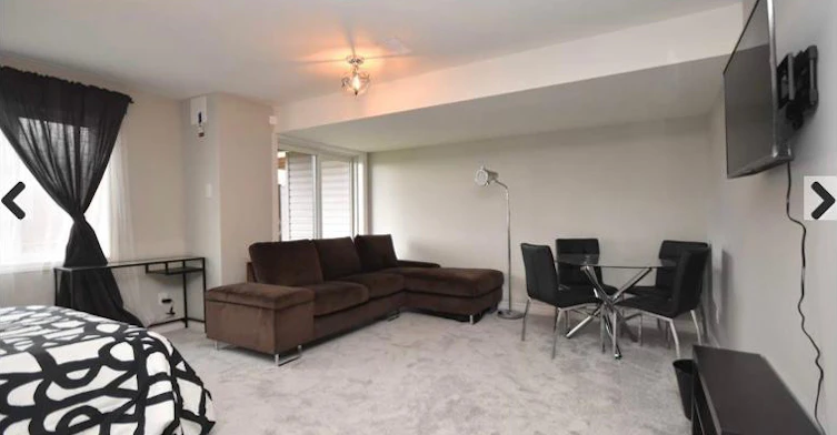 Basement-738 Dearborn Private, Ottawa, ON, K1T 0W3 - 5