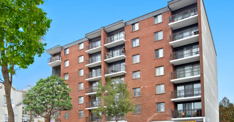 141 Augusta Street, Ottawa, ON, K1N 8Y9