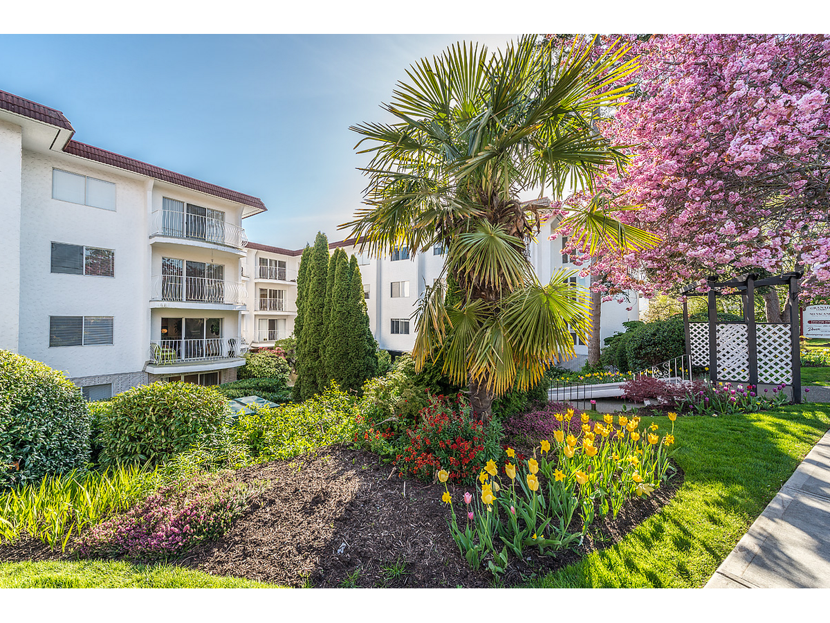 0308-1233 Fairfield Road, Victoria, BC, V8V 3B4