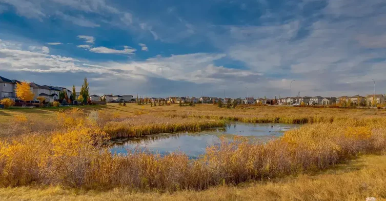 205-16517 55 Street NW, Edmonton, AB, T5Y 3K8 - 27