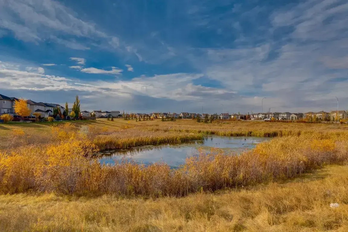 205-16517 55 Street NW, Edmonton, AB, T5Y 3K8 - 27