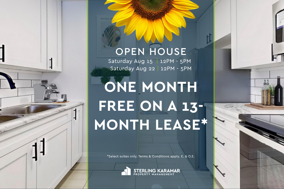 FEED-222 Elm Street, Toronto, ON, M5T 1K4