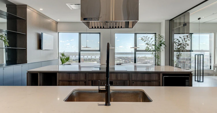 1 bedroom -245 Robert Bourassa Boulevard, Montréal, QC, H3C 1A4 - 36