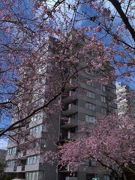 42-2020 Comox Street, Vancouver, BC, V6K 1H8 - 7