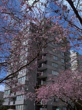 73-2020 Comox Street, Vancouver, BC, V6K 1H8 - 2