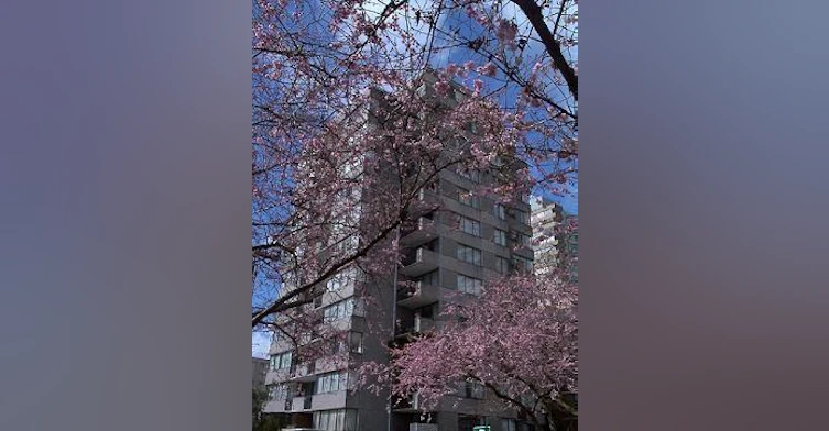 86-2020 Comox Street, Vancouver, BC, V6K 1H8 - 3