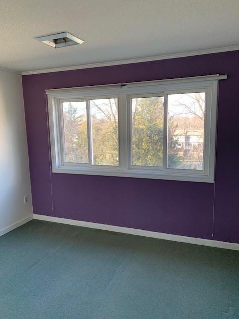 295 Water Street, Guelph, ON, N1G 2X5 - 23