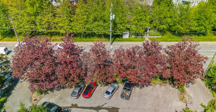 8040 Blundell Road, Richmond, BC, V6Y 1J8 - 32