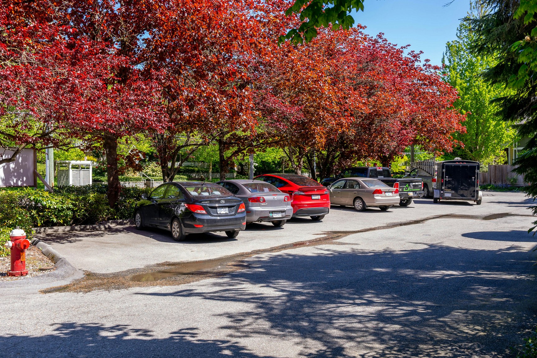 8040 Blundell Road, Richmond, BC, V6Y 1J8 - 28