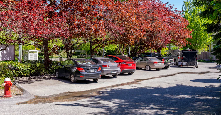 8040 Blundell Road, Richmond, BC, V6Y 1J8 - 28