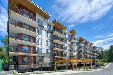 411-20144 86 Avenue, Langley, BC, V2Y 3W6 - 10