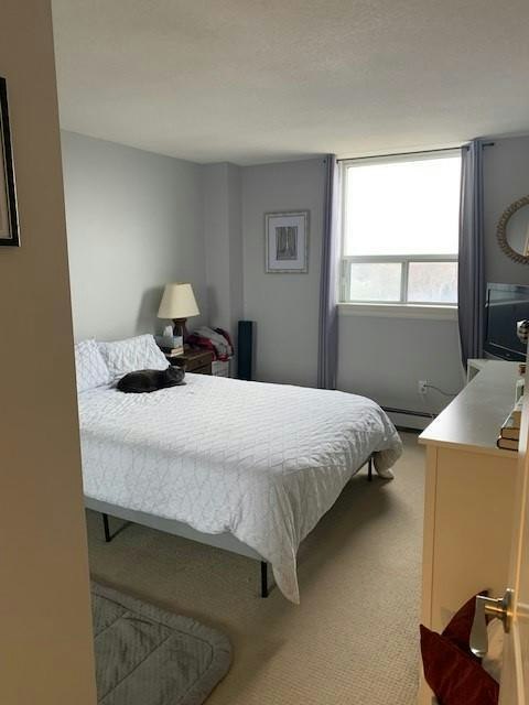 55 Yarmouth Street, Guelph, ON, N1H 7R4 - 10