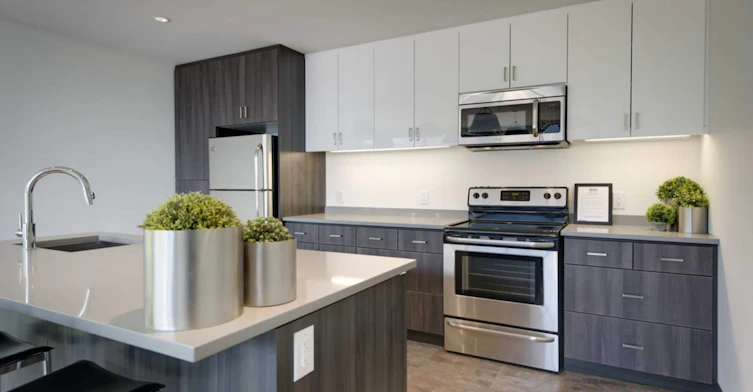 The Rainforest-825 Sterling Lyon Parkway, Winnipeg, MB, R3P 1H3 - 7