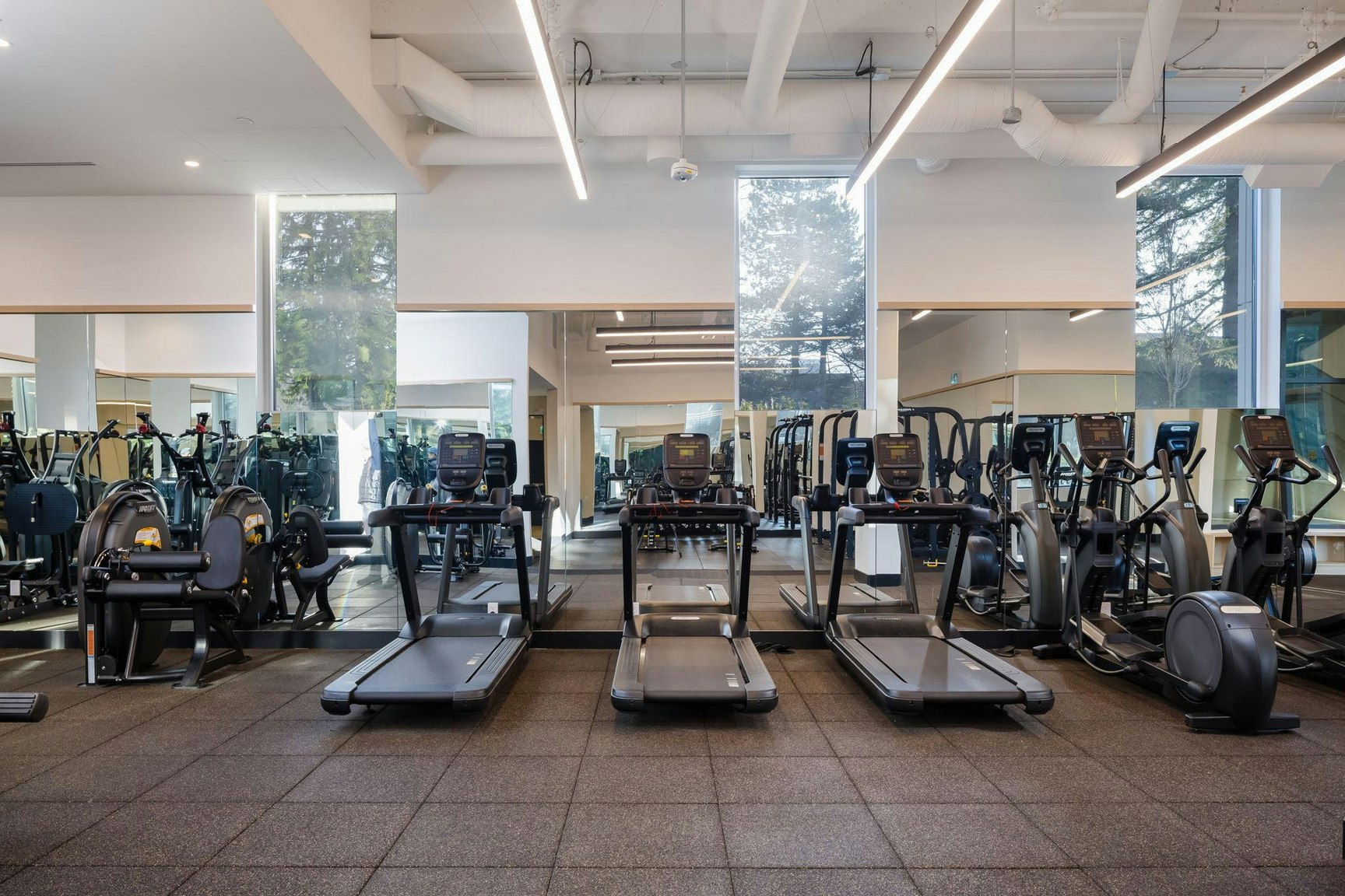 203C-250 EAST 15th Street, North Vancouver, BC, V7L 2R4 - 19