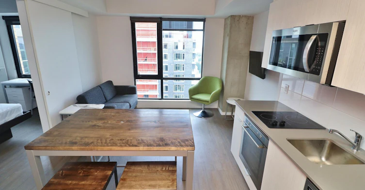 Model 16-105 Champagne Avenue S, Ottawa, ON, K1S 4P3 - 8