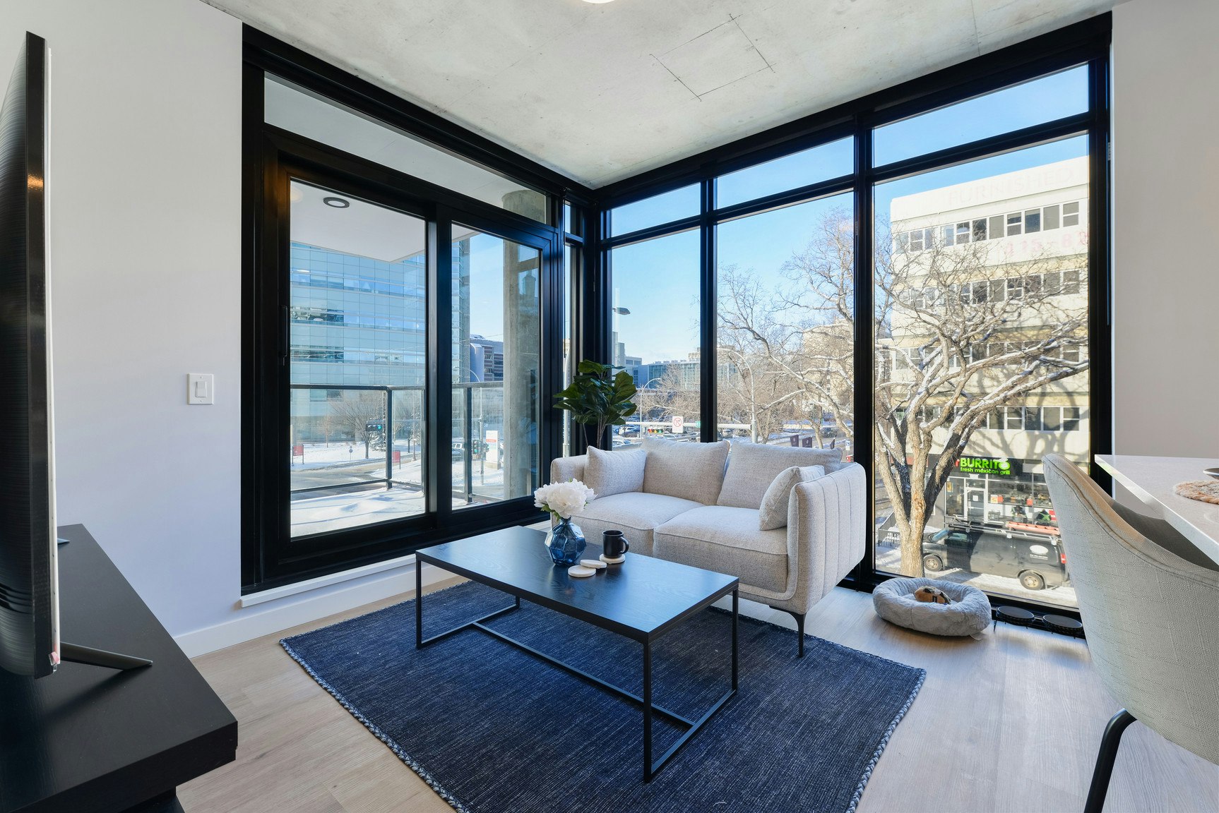 11141 84 Avenue, Edmonton, AB, T6G 2C3 - 15