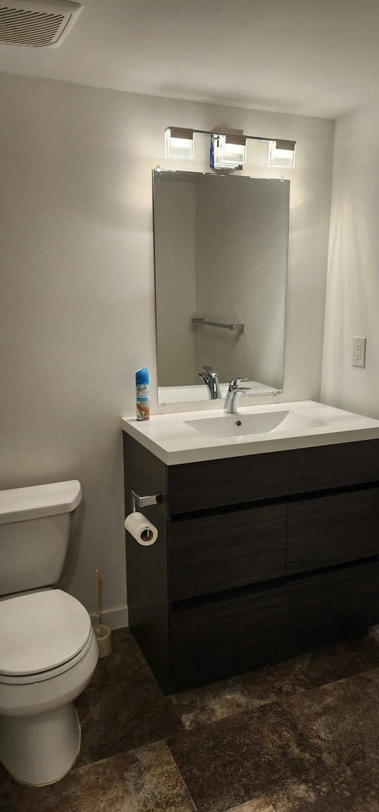 20110 Michaud Crescent, Langley, BC, V3A 4B1 - 9