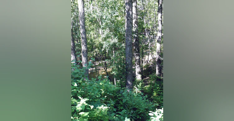 4581 South Access Road, Chetwynd, BC, V0C 1J0