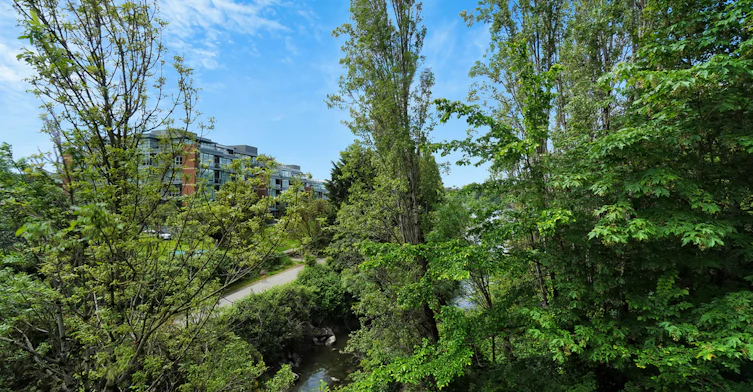 2-404-252 E Gorge Road, Victoria, BC, V9A 6W3 - 3