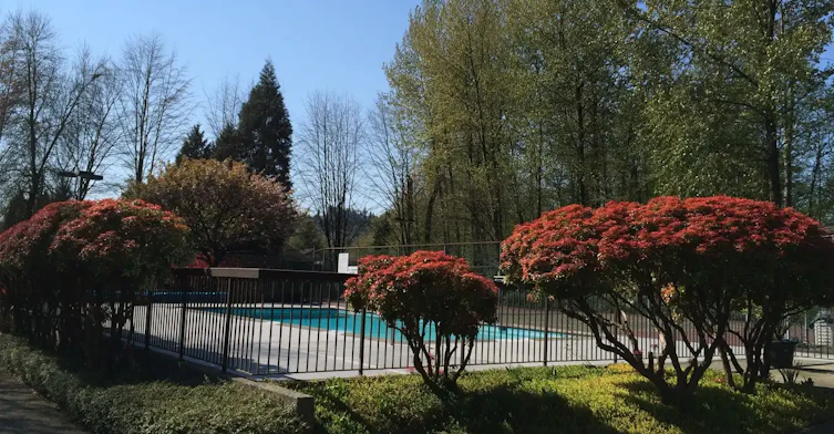 202-1180 Lansdowne Drive, Coquitlam, BC, V3E 1J7 - 14
