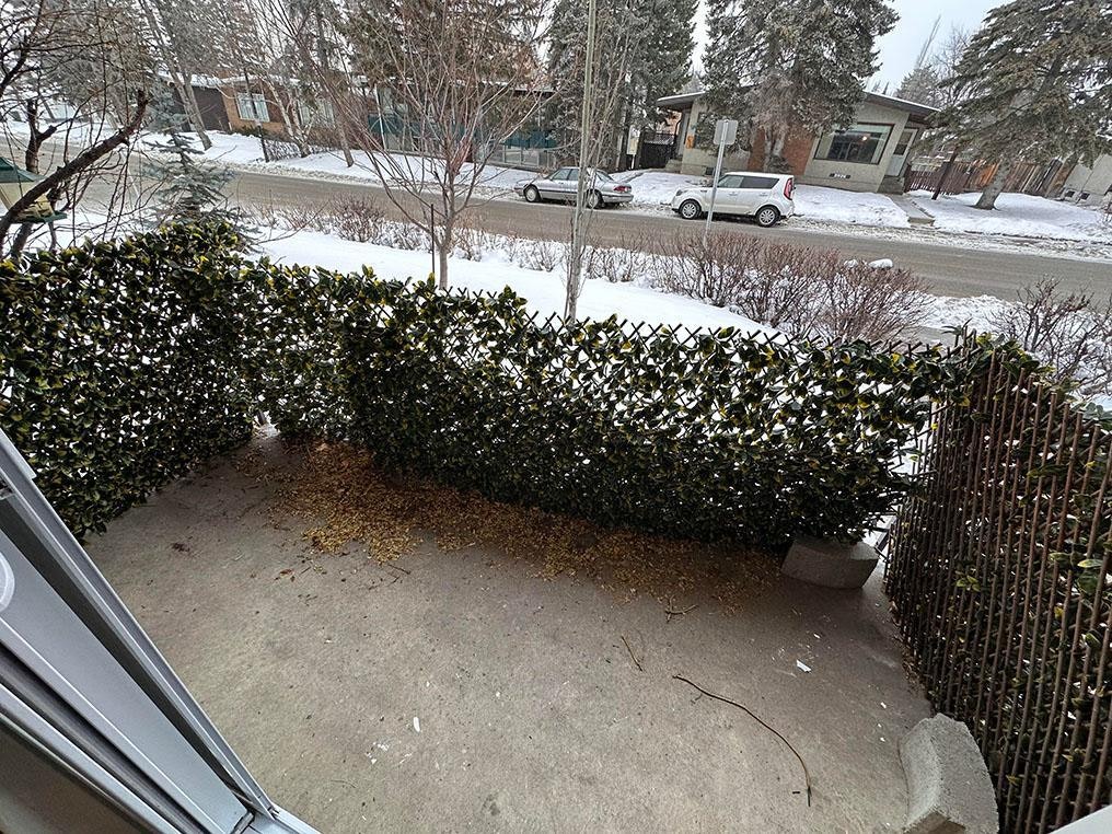 2929 Unwin Road NW, Calgary, AB, T2N 4C8 - 9