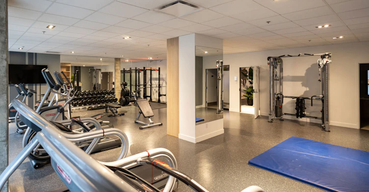 1255 De Bullion Rue, Montréal, QC, H2X 0B9 - 11