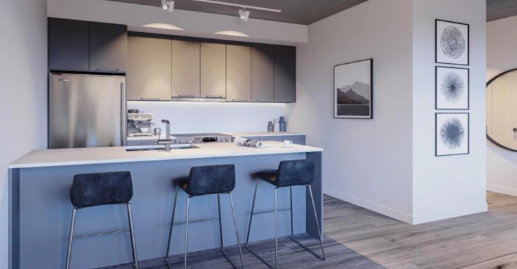 1255 Saint Dominique Rue, Montréal, QC, H2X 0E2 - 7