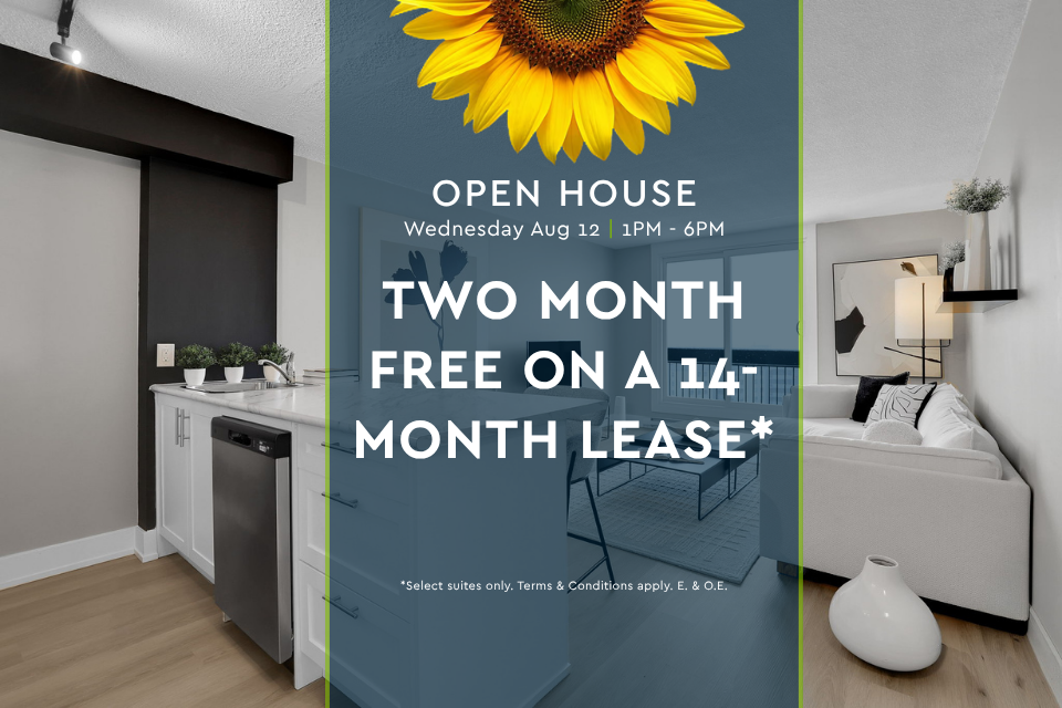 FEED-2935 Richmond Road, Ottawa, ON, K2B 8C9