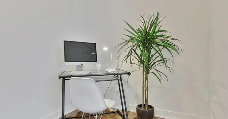 233-21 Ronsard Street, Saint-Constant, QC, J5A 0S9 - 11