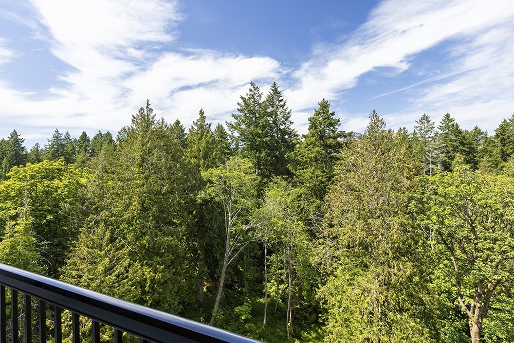C428-2676 Wilfert Road, Colwood, BC, V9B 7E1 - 3