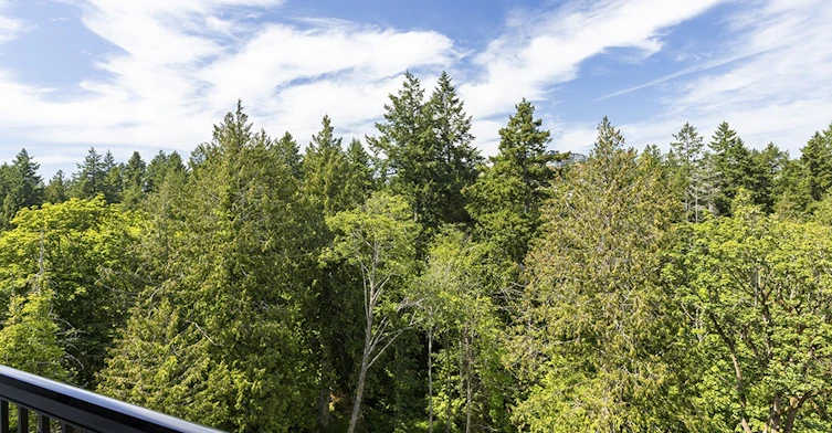 C428-2676 Wilfert Road, Colwood, BC, V9B 7E1 - 3