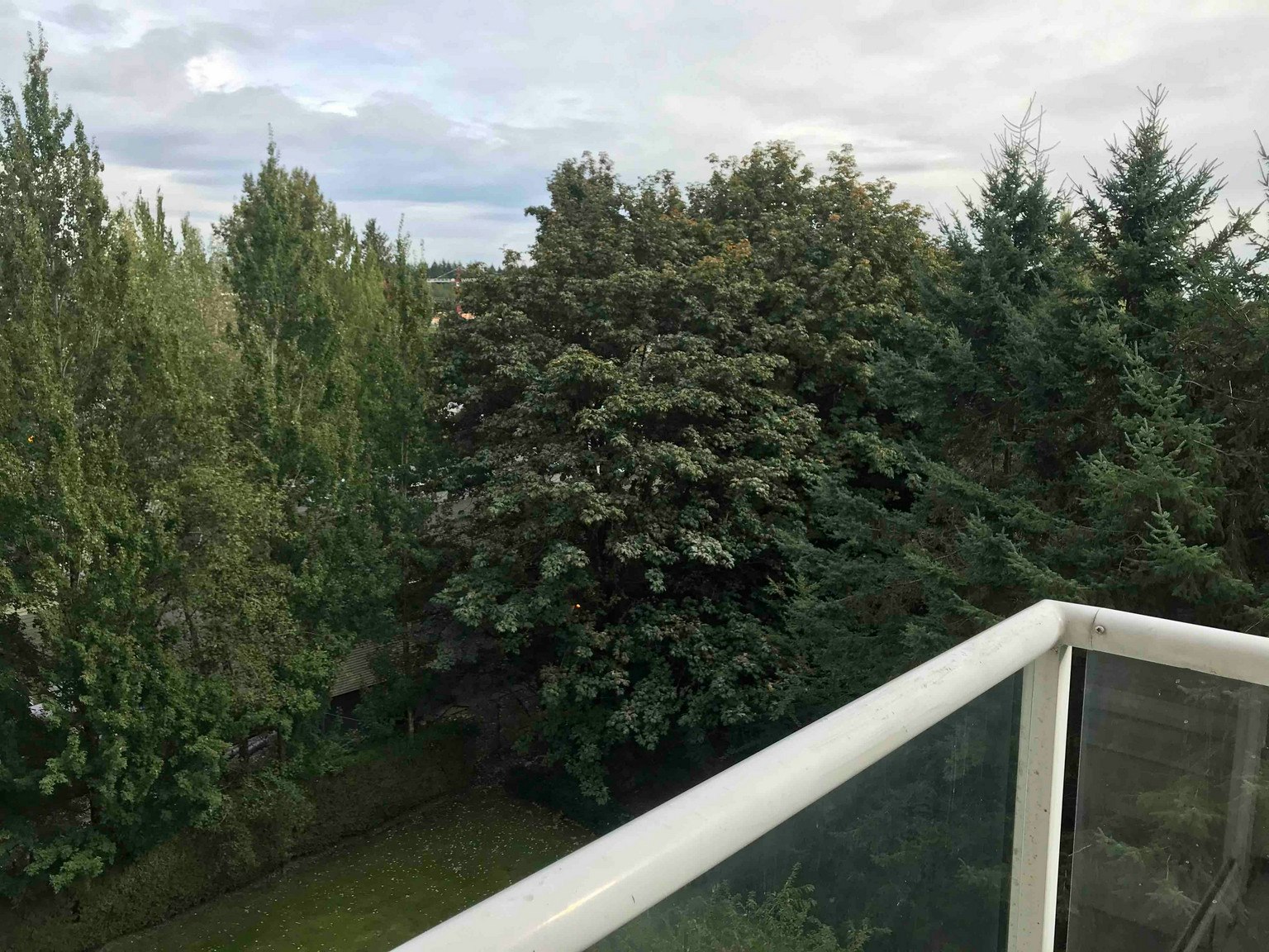 705-9830 Whalley Boulevard, Surrey, BC, V3T 5S7 - 13