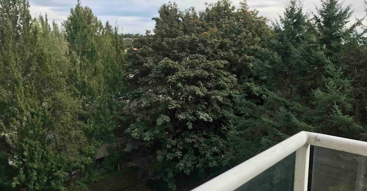 705-9830 Whalley Boulevard, Surrey, BC, V3T 5S7 - 13