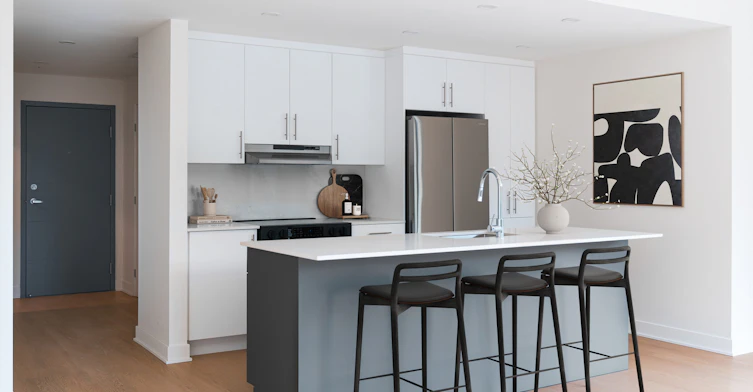 265 Avenue Brock Sud, Montréal, QC, H4X 0A3 - 6