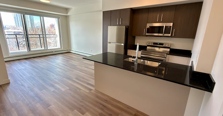 101-1400 27 Street Southwest, Calgary, AB, T3C 3Z2 - 111