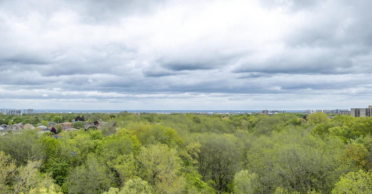 420 Greenhill Avenue, Hamilton, ON, L8K 6E7 - 8
